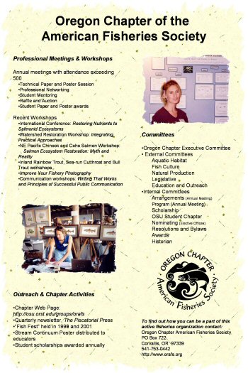Chapter Poster panel 2, click here for full size